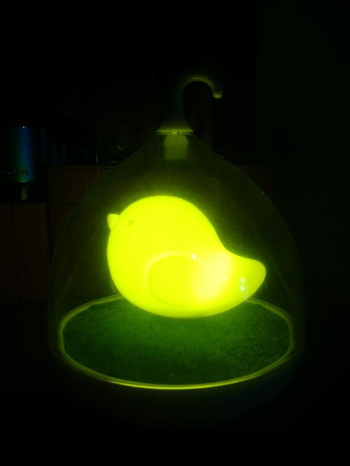 触控型鸟笼小夜灯 点亮夜色的诗意光芒